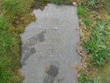 image of grave number 460325